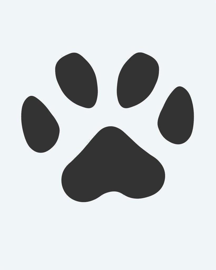 Single Paw Print semi-permanent tattoo design by INKON – single, print, solid, filled, cute illustration, 2 x 2 in (5x5cm), available at inkon.co