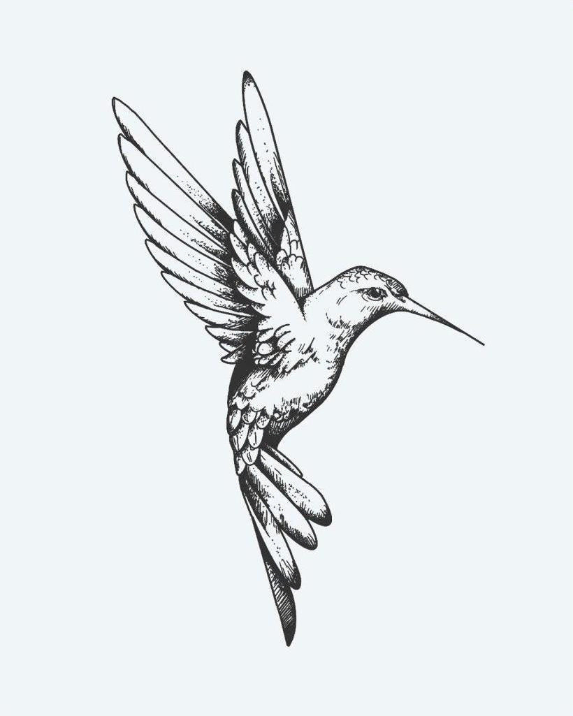 Hummingbird semi-permanent tattoo design by INKON – beautifully, hummingbird, flight, finely, etched illustration, 3 x 4 in (6x11cm), available at inkon.co