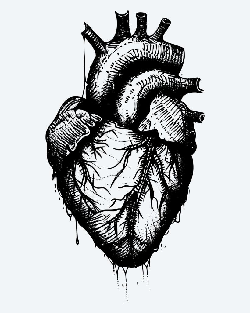 Anatomical Heart semi-permanent tattoo design by INKON – anatomical, human, heart, dripping, effect illustration, 4 x 4 in (9x9cm), available at inkon.co