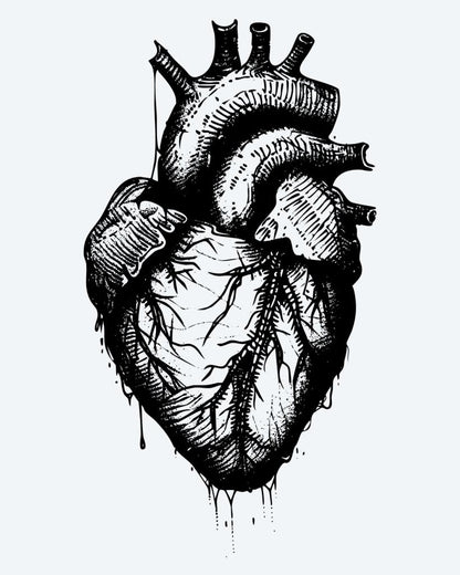 Anatomical Heart semi-permanent tattoo design by INKON – anatomical, human, heart, dripping, effect illustration, 4 x 4 in (9x9cm), available at inkon.co